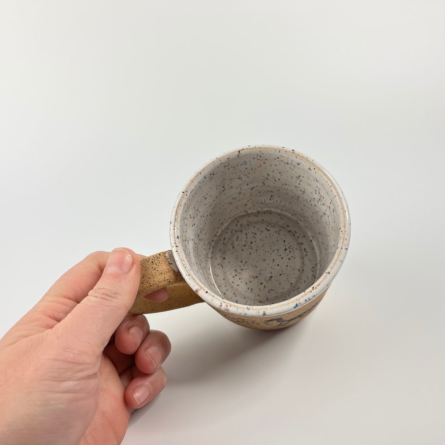 Dinosaur Mug 2