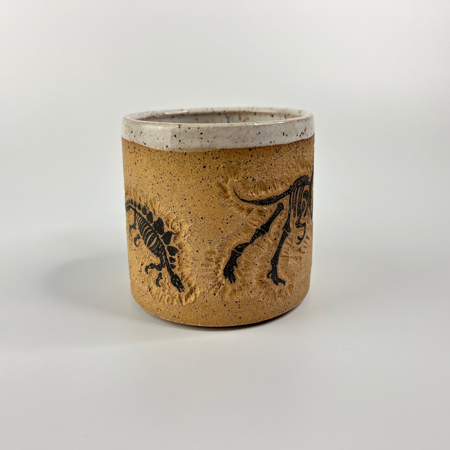 Dinosaur Mug 3