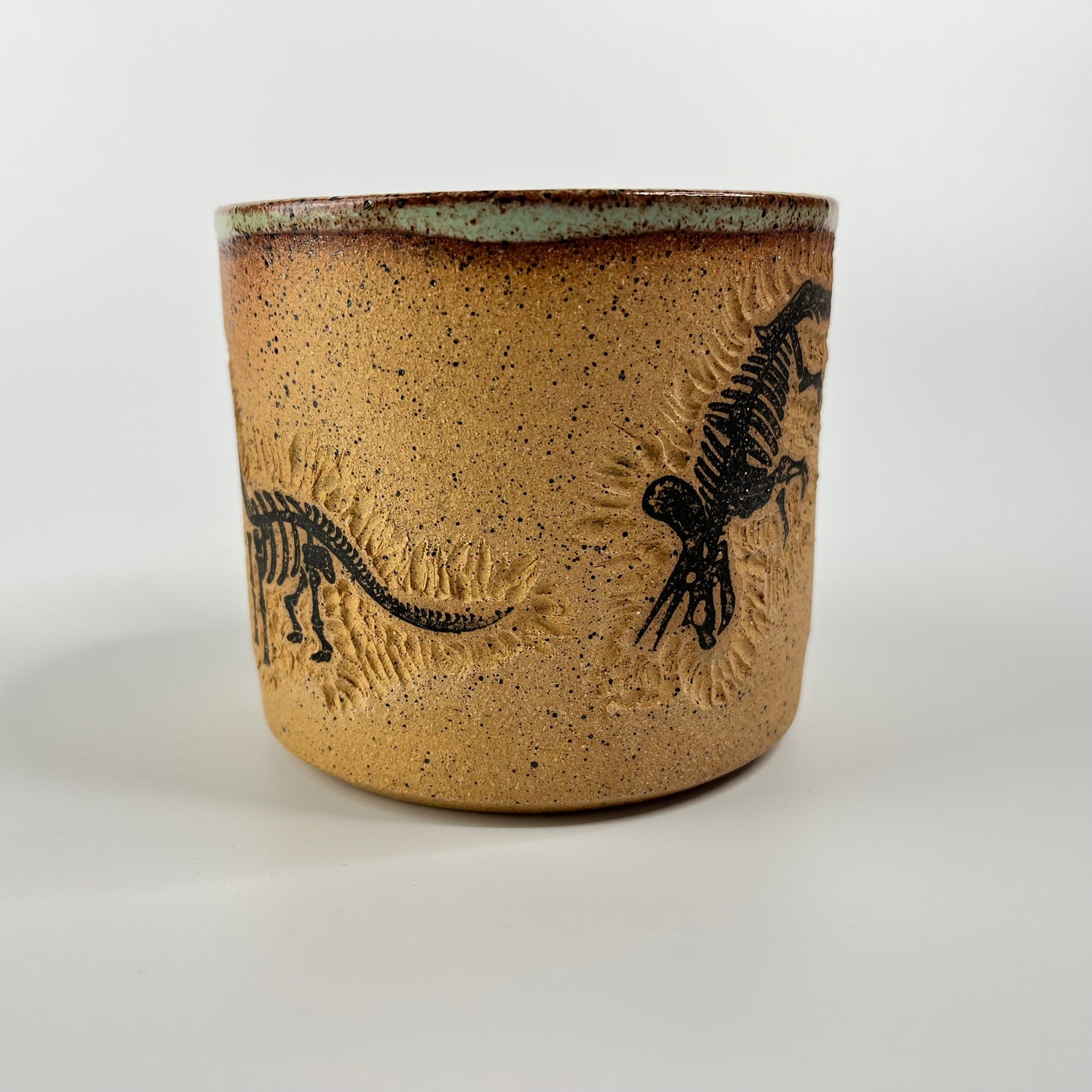 Dinosaur Mug 5
