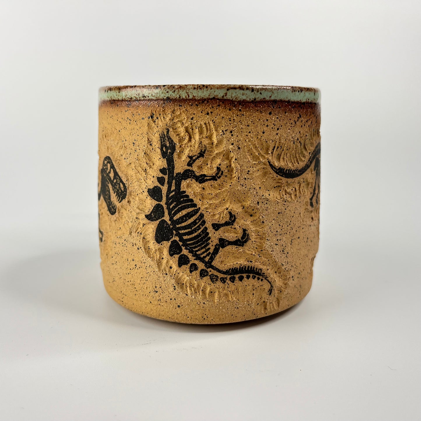 Dinosaur Mug 7