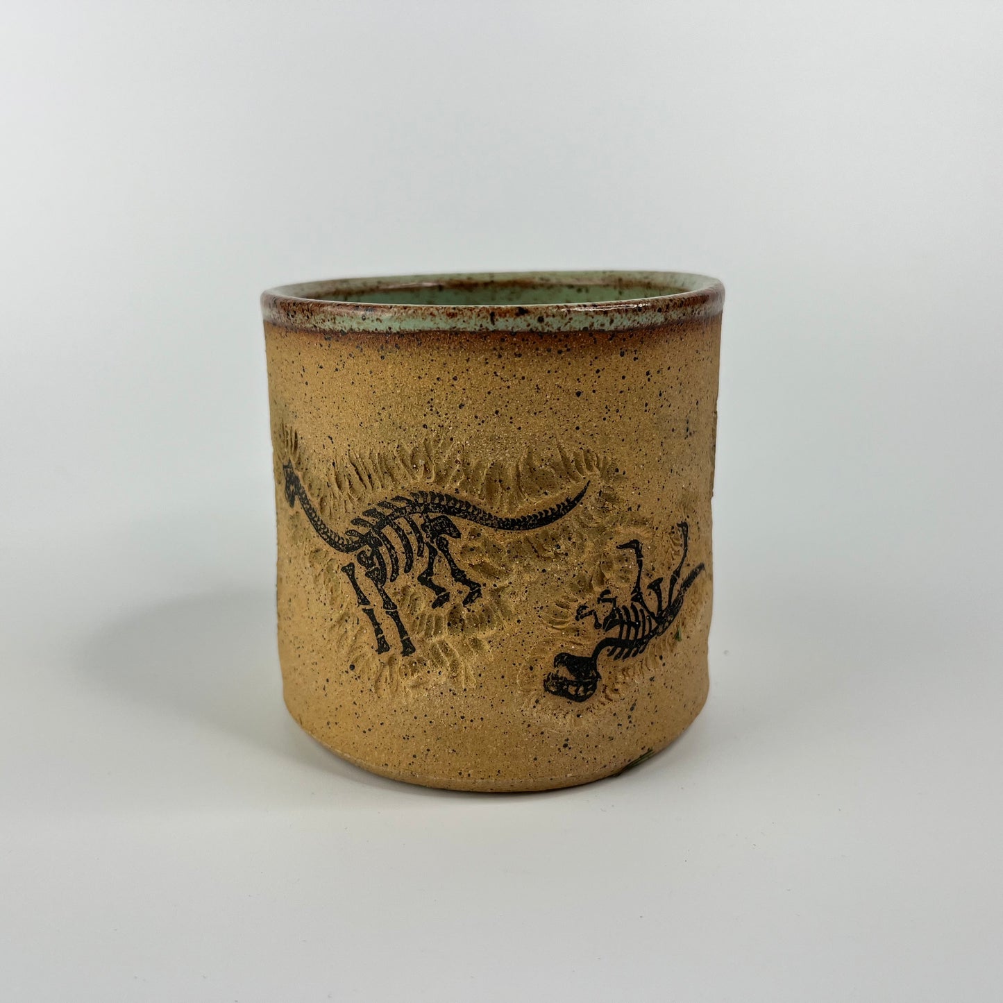 Dinosaur Mug 8