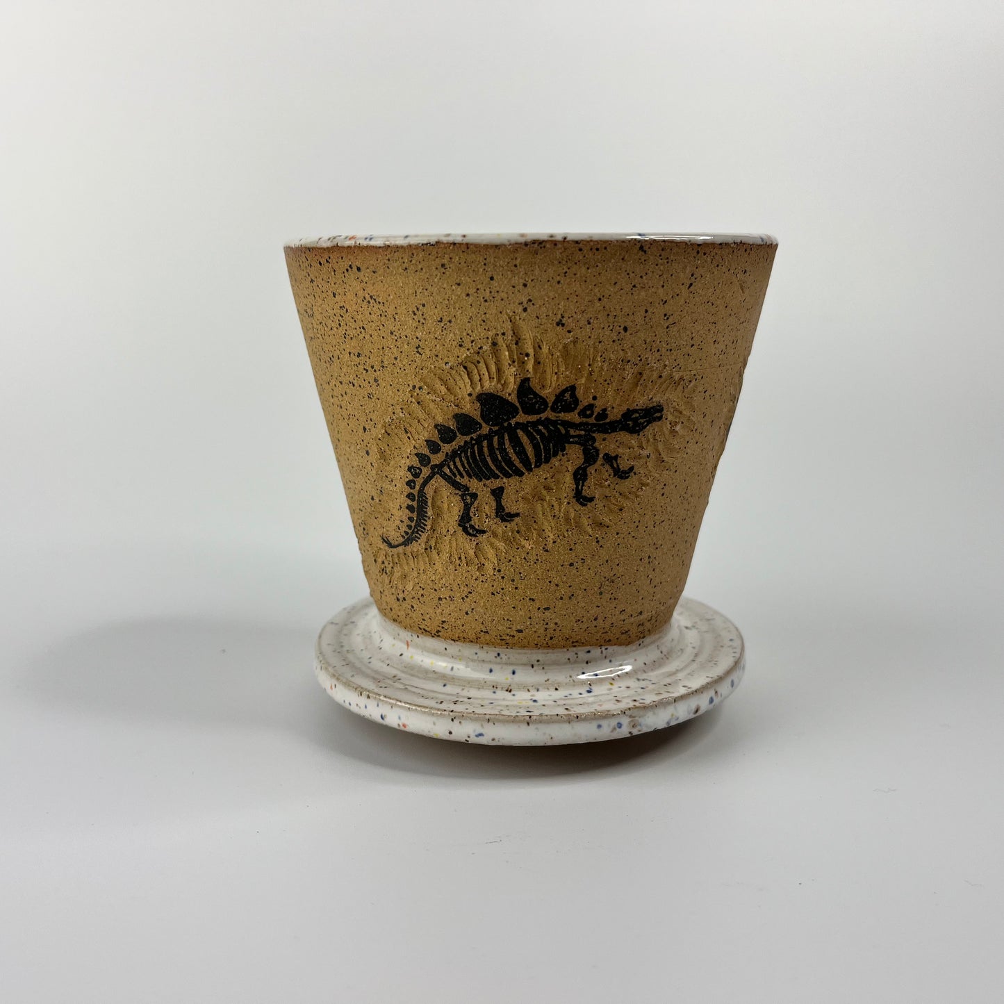 Dinosaur Coffee Pourover FUNFETTI
