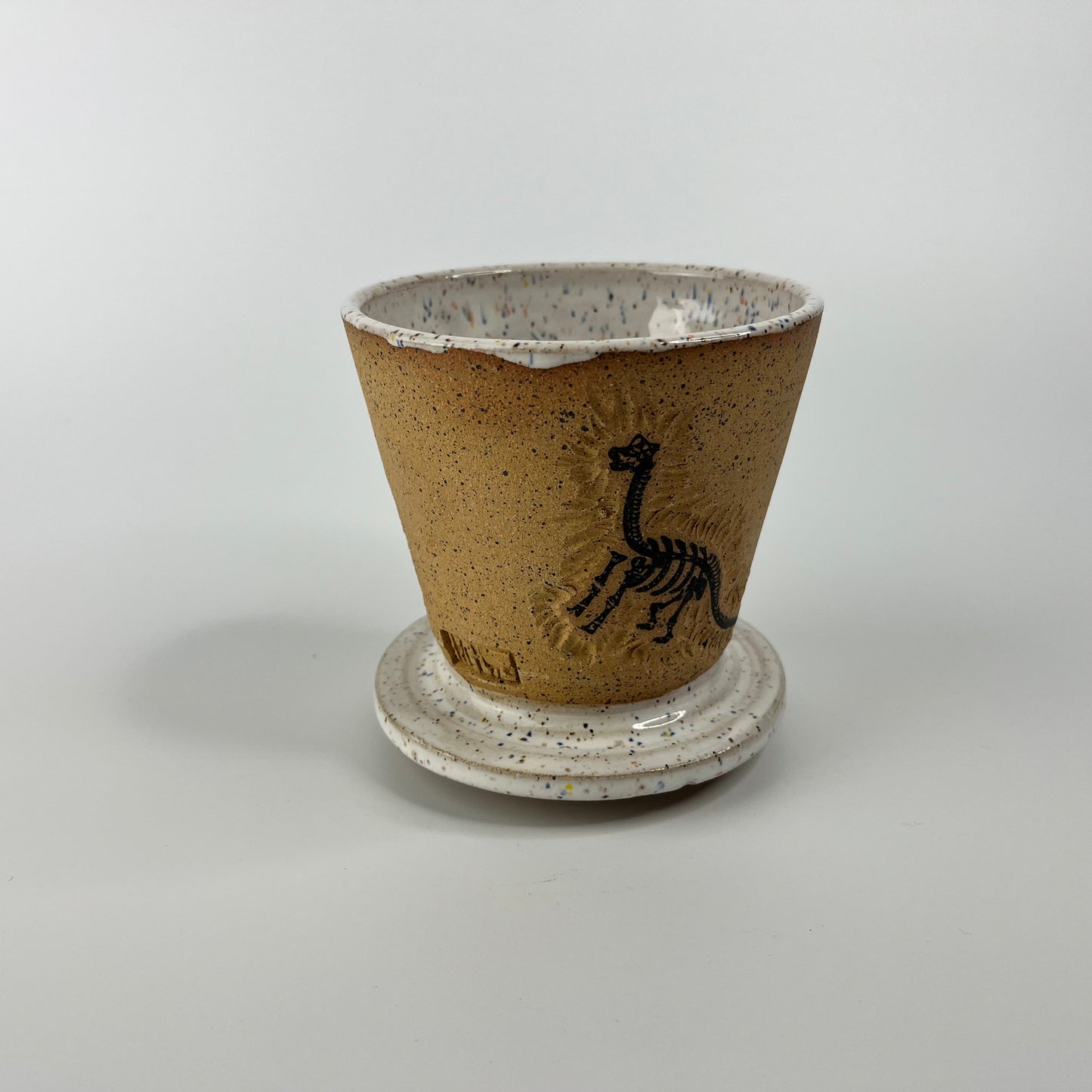 Dinosaur Coffee Pourover FUNFETTI