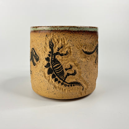 Dinosaur Mug 7